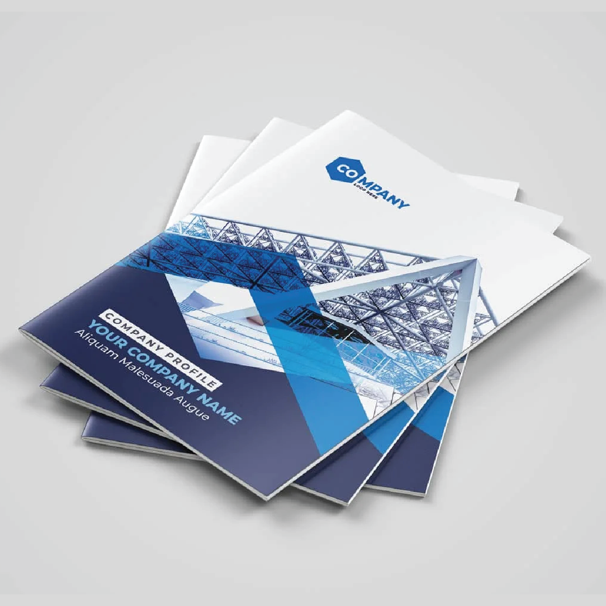 thiet-ke-ho-so-nang-luc-chuyen-nghiep@